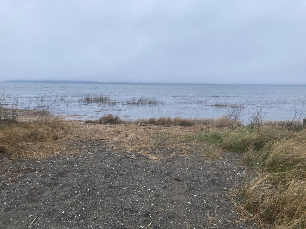 a sandy beach with grass and water (MyCoast AI)