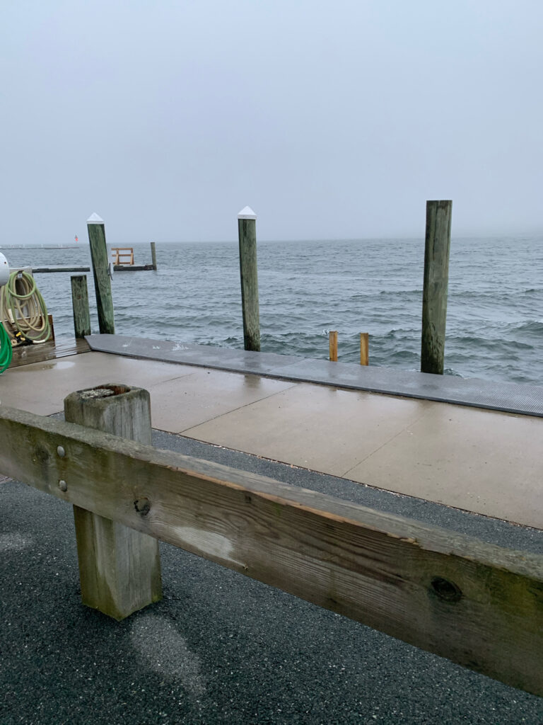 a bench sits on a pier (MyCoast AI)