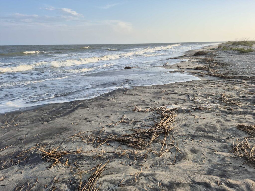 a beach with waves crashing on it (MyCoast AI)
