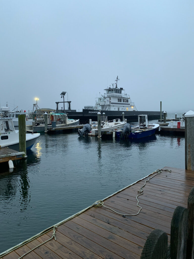 boats in the water (MyCoast AI)