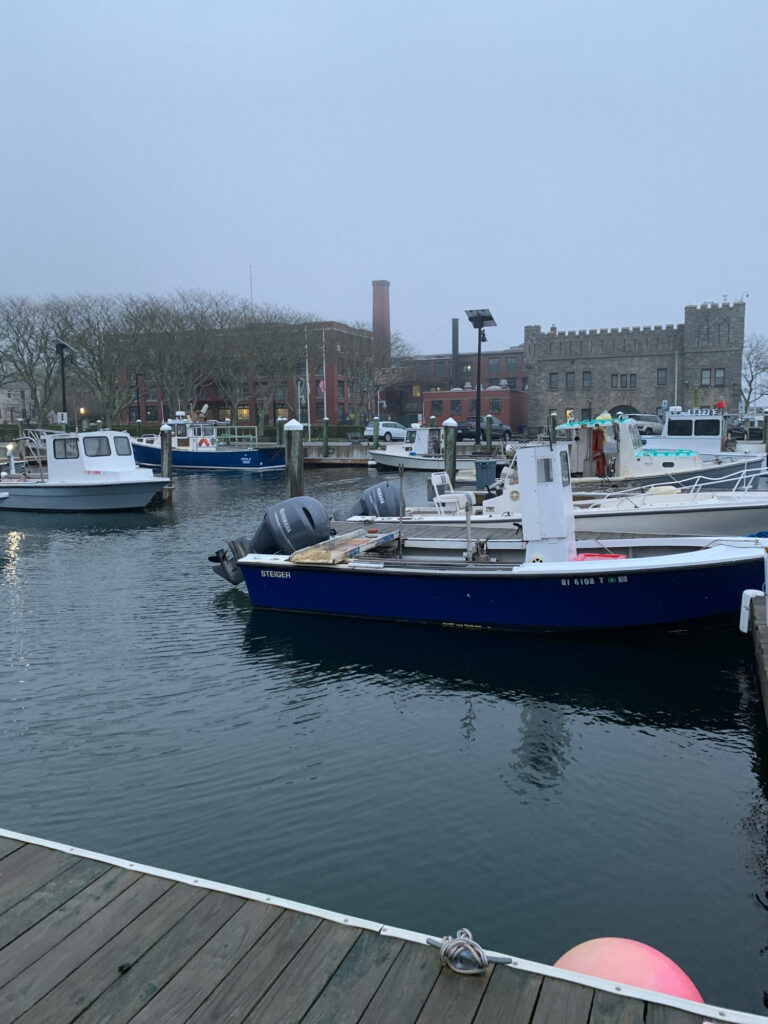 boats in a harbor (MyCoast AI)