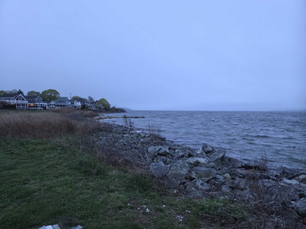 a rocky beach with grass and water (MyCoast AI)