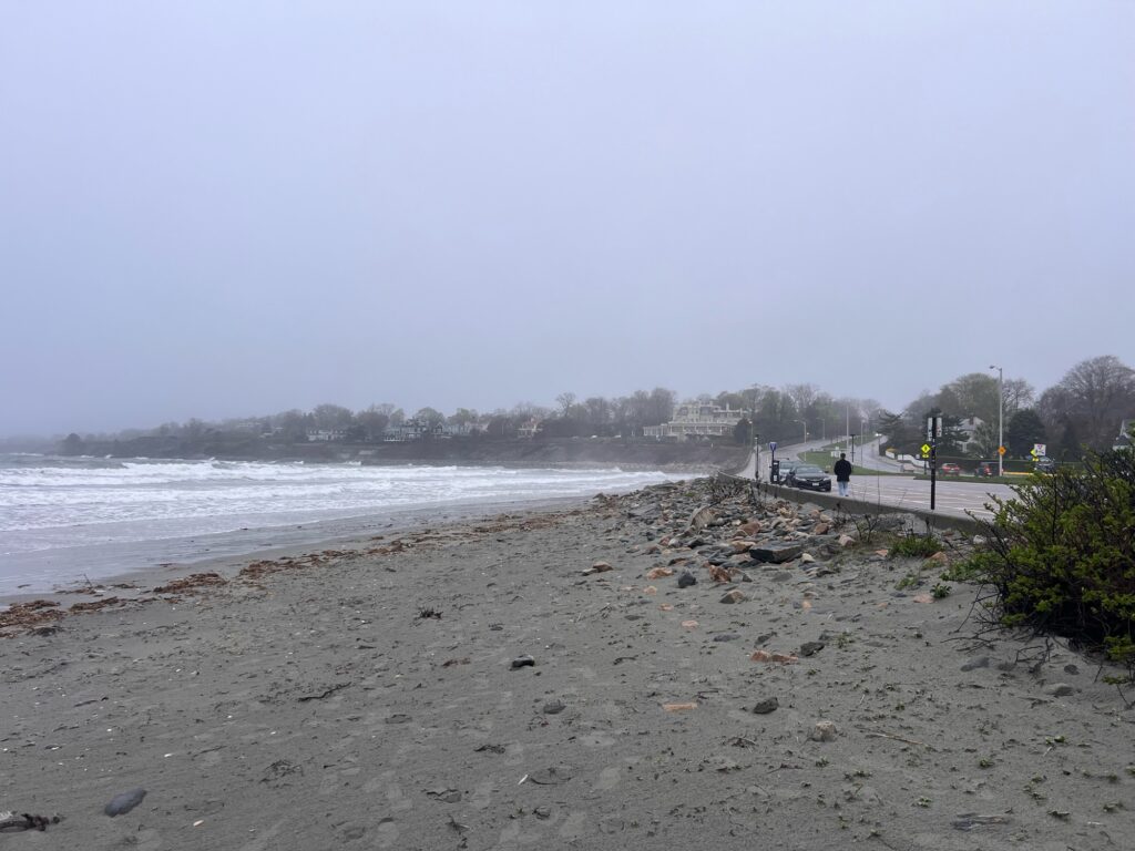 a beach with a path and a body of water (MyCoast AI)