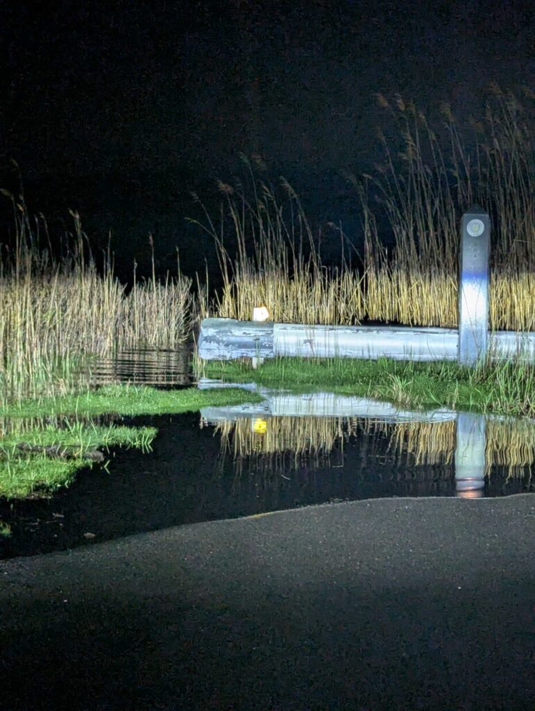a pond with grass and a white post in the middle (MyCoast AI)