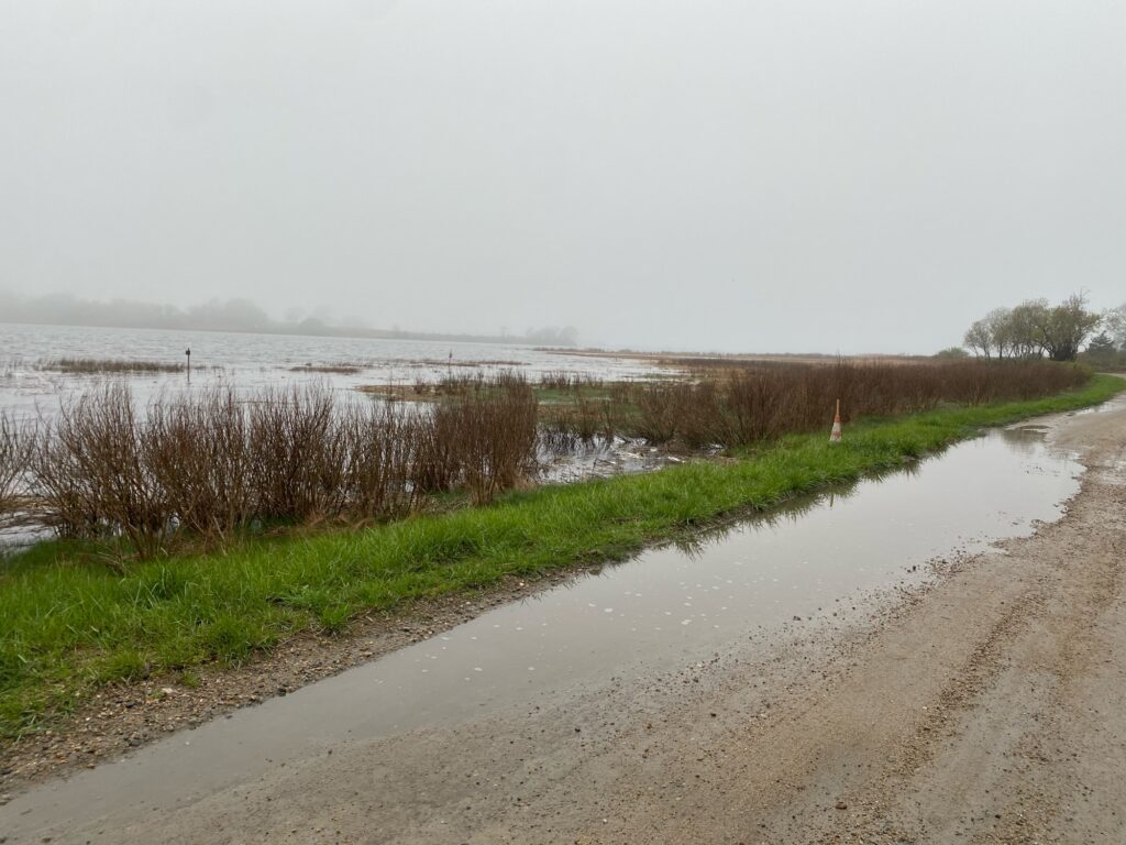 a dirt road with grass and water on either side of it (MyCoast AI)