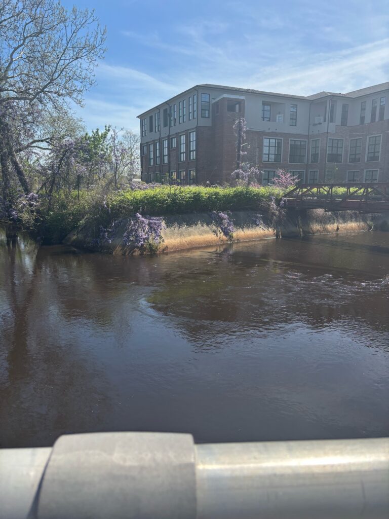 a building with a pond in front of it (MyCoast AI)