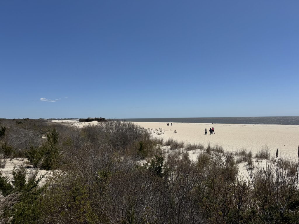 a group of people walking through a field of dry grass (MyCoast AI)