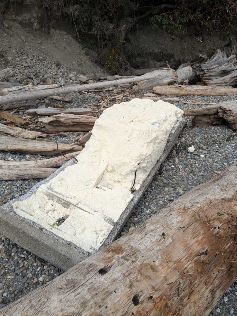 a rock on the ground (MyCoast AI)