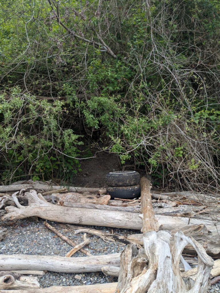 a pile of logs and a tire (MyCoast AI)