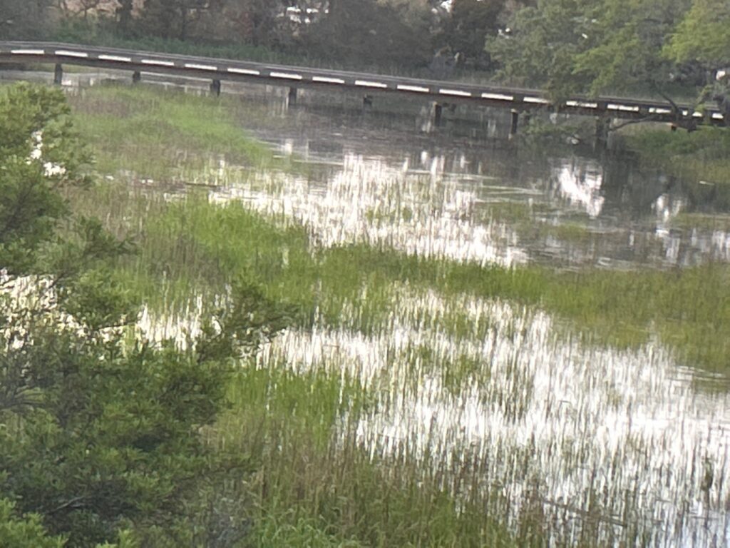 a bridge over a river (MyCoast AI)