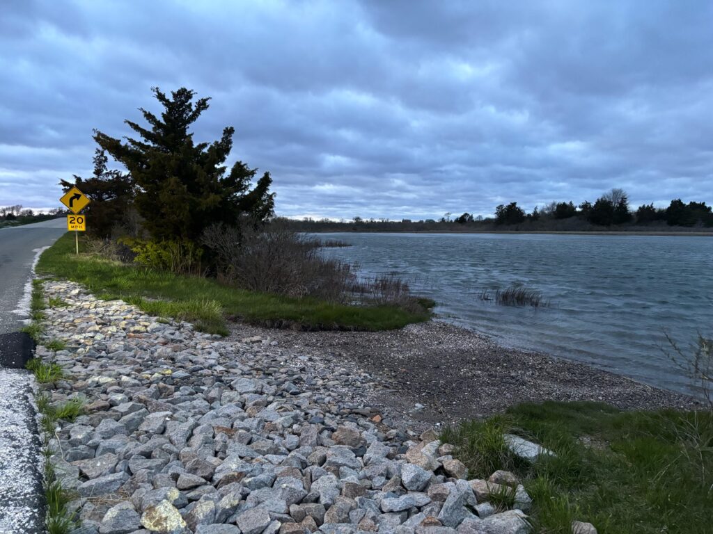 a rocky shore with a body of water and trees on the side (MyCoast AI)