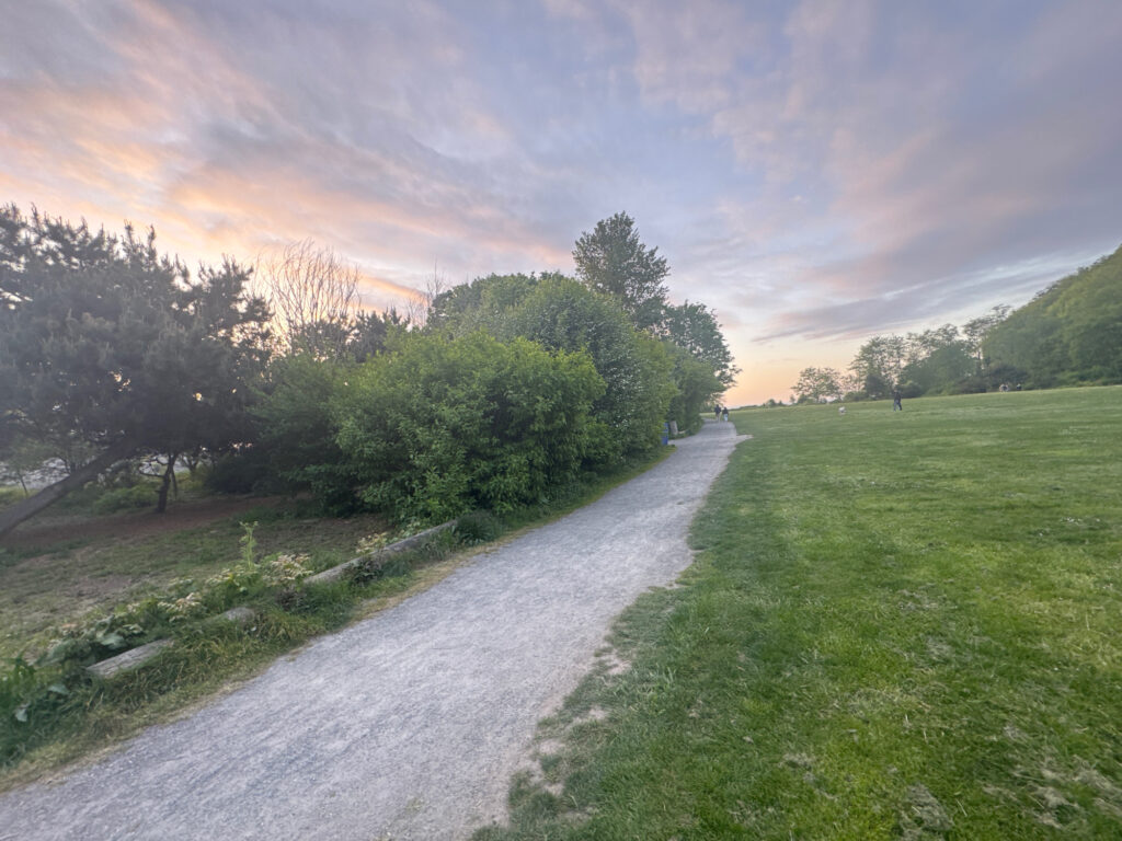 a river with grass and trees on the side (MyCoast AI)