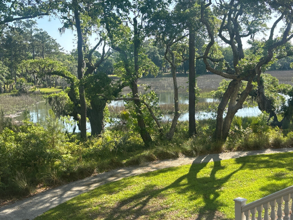 a path with grass and trees by a body of water (MyCoast AI)