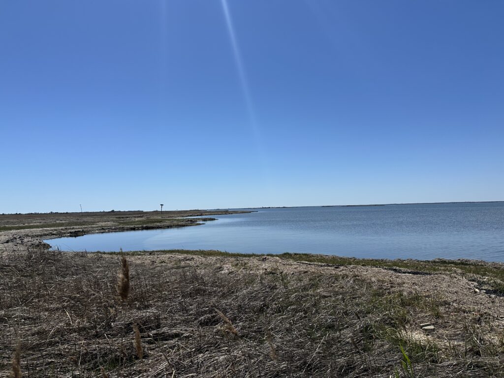 a body of water with land around it (MyCoast AI)