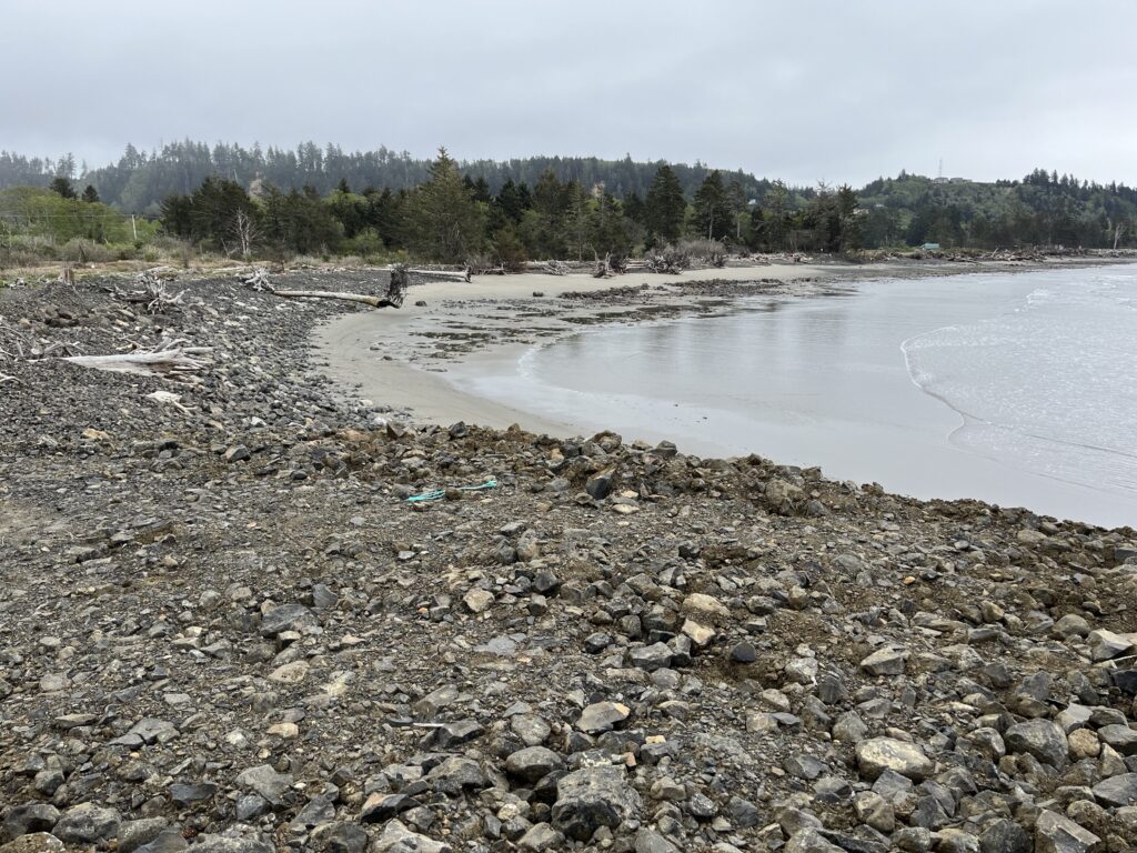 a rocky beach with a body of water and trees in the background (MyCoast AI)