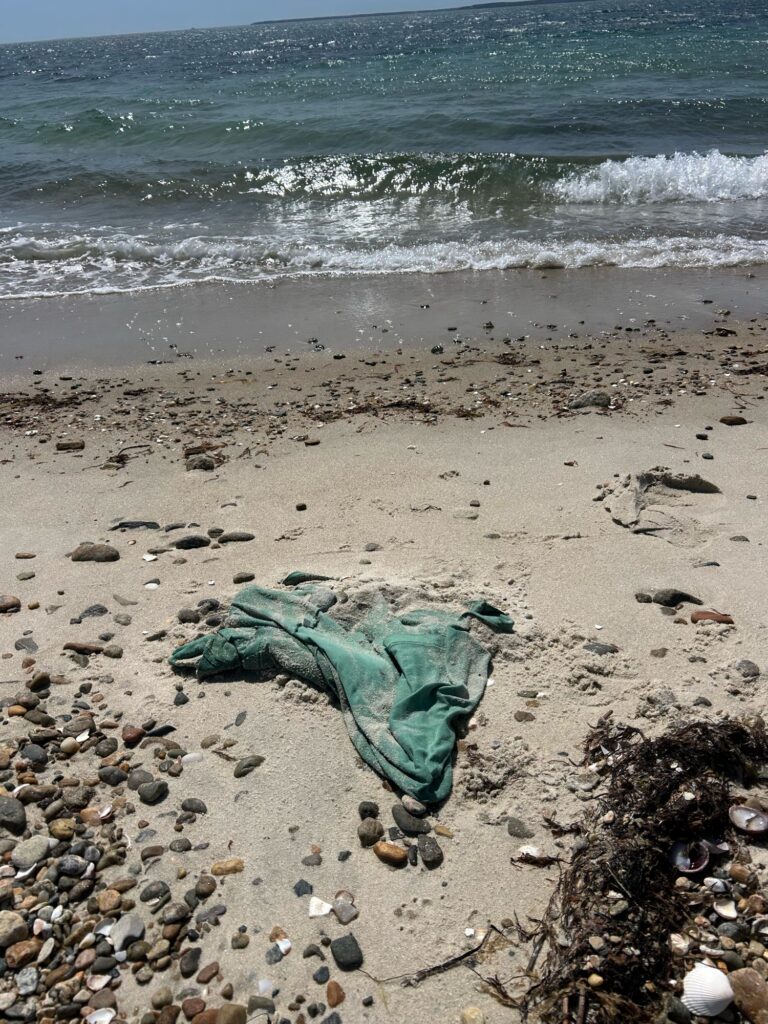 a person lying on a beach (MyCoast AI)