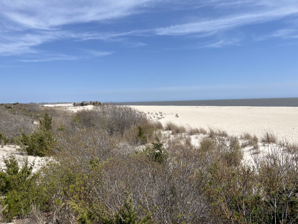 a field of dry grass (MyCoast AI)