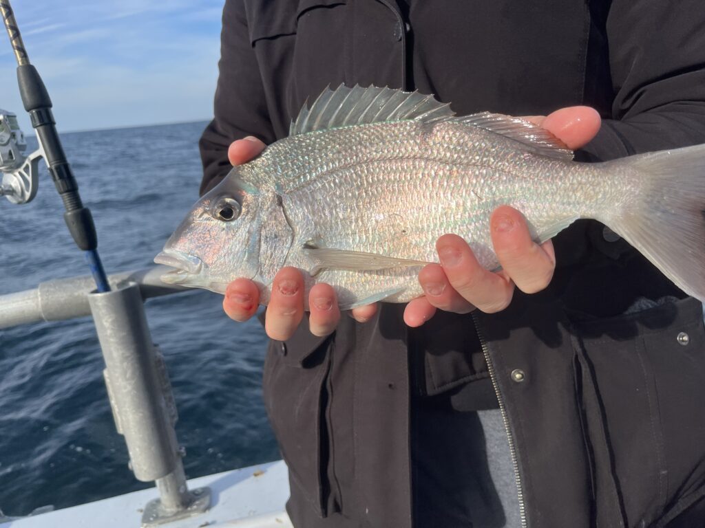 a person holding a fish (MyCoast AI)