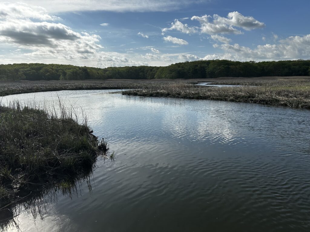 a body of water with trees in the background (MyCoast AI)