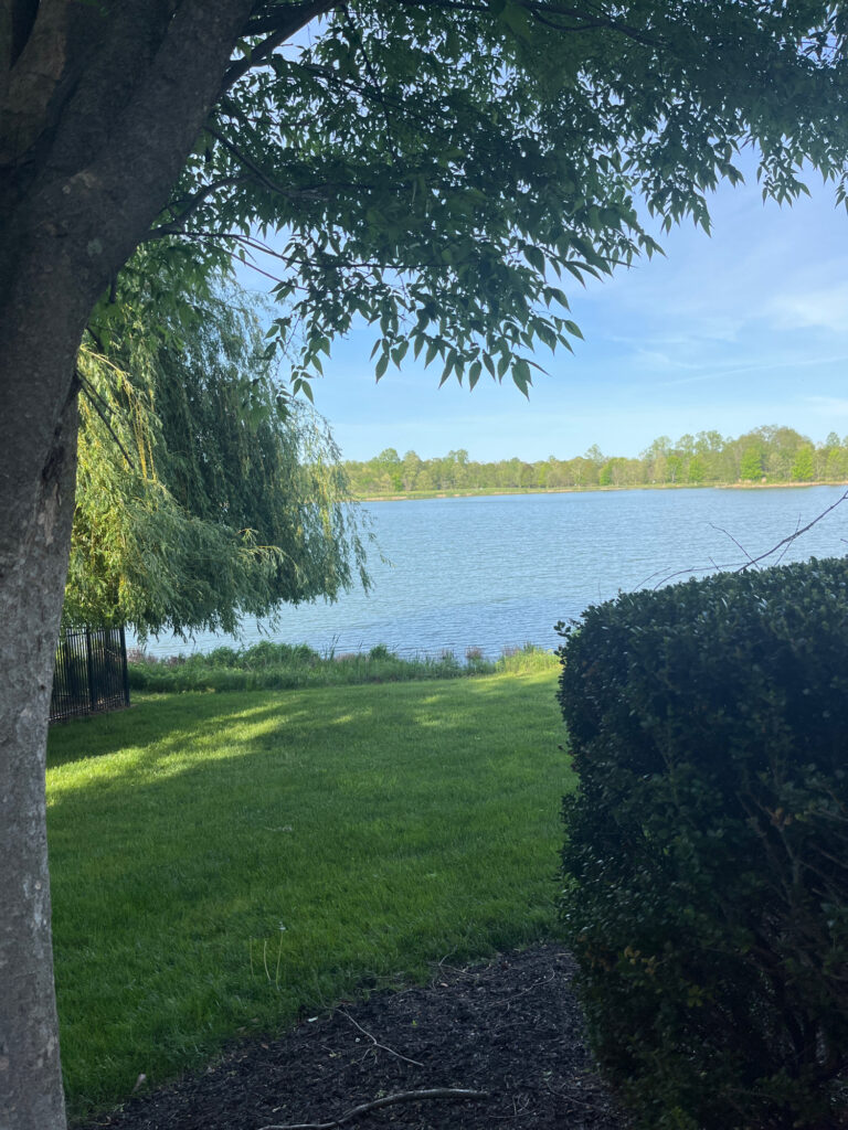 a path next to a body of water (MyCoast AI)