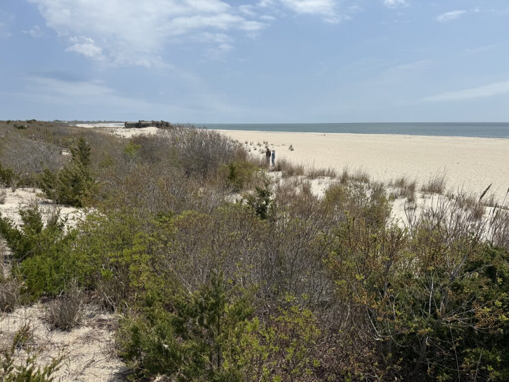 a group of people walking on a beach (MyCoast AI)