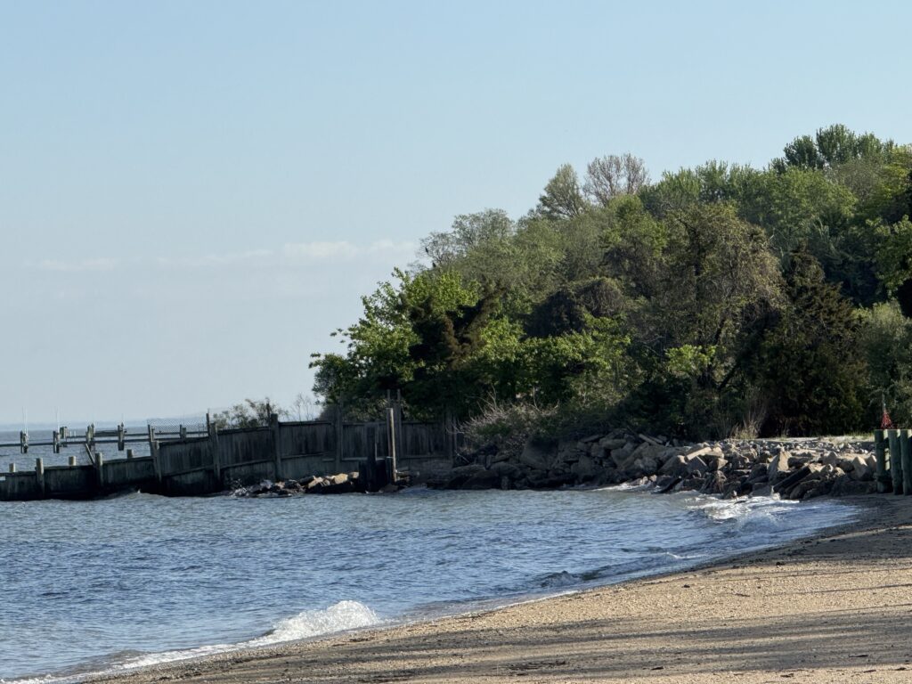 a beach with a pier and trees (MyCoast AI)
