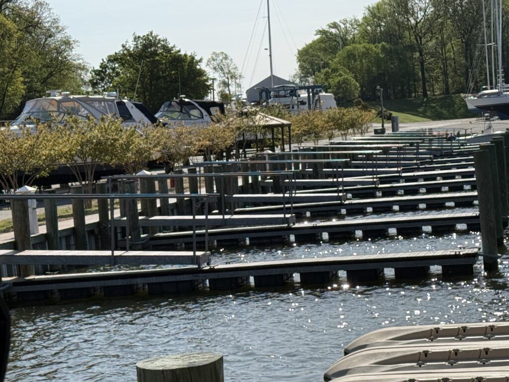 a dock with boats in the water (MyCoast AI)