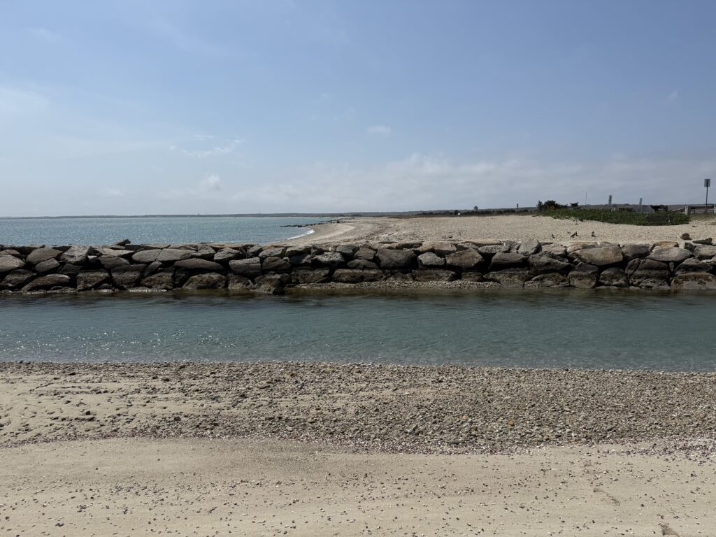 a rocky beach with a body of water in the background (MyCoast AI)