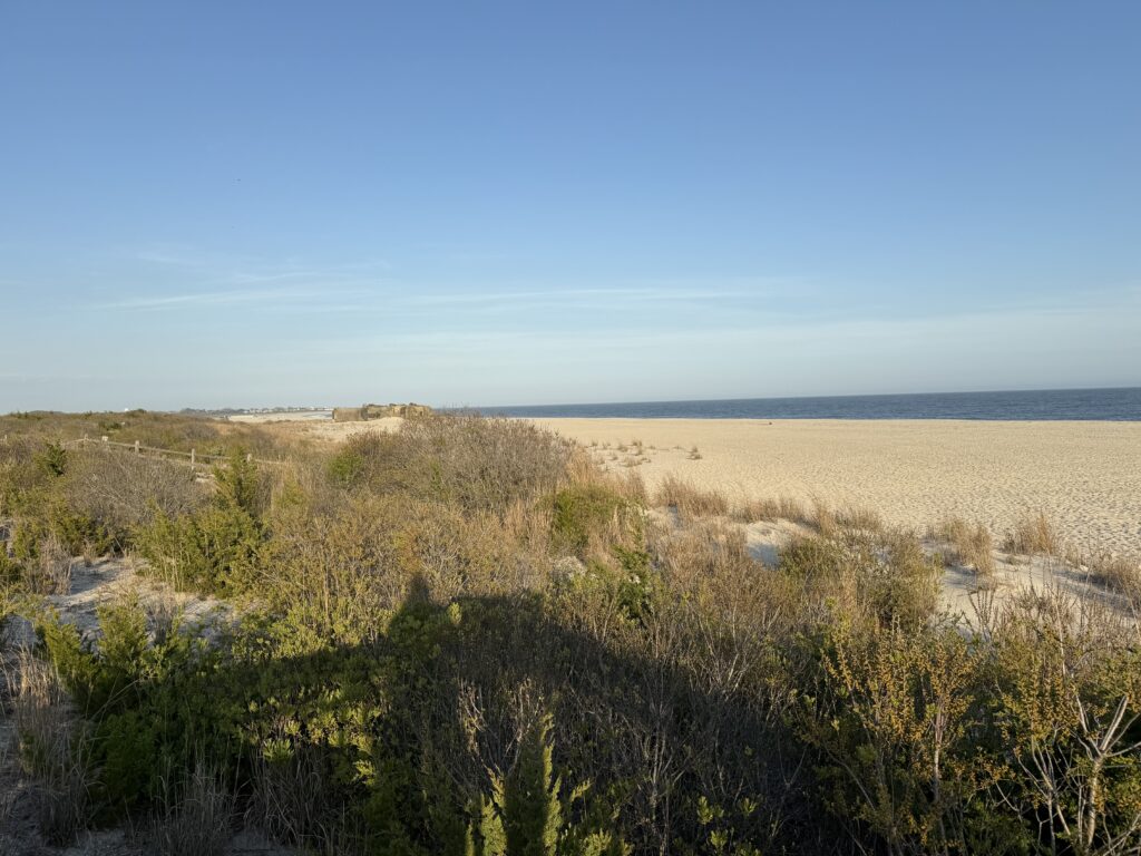 a landscape with plants and water in the background (MyCoast AI)