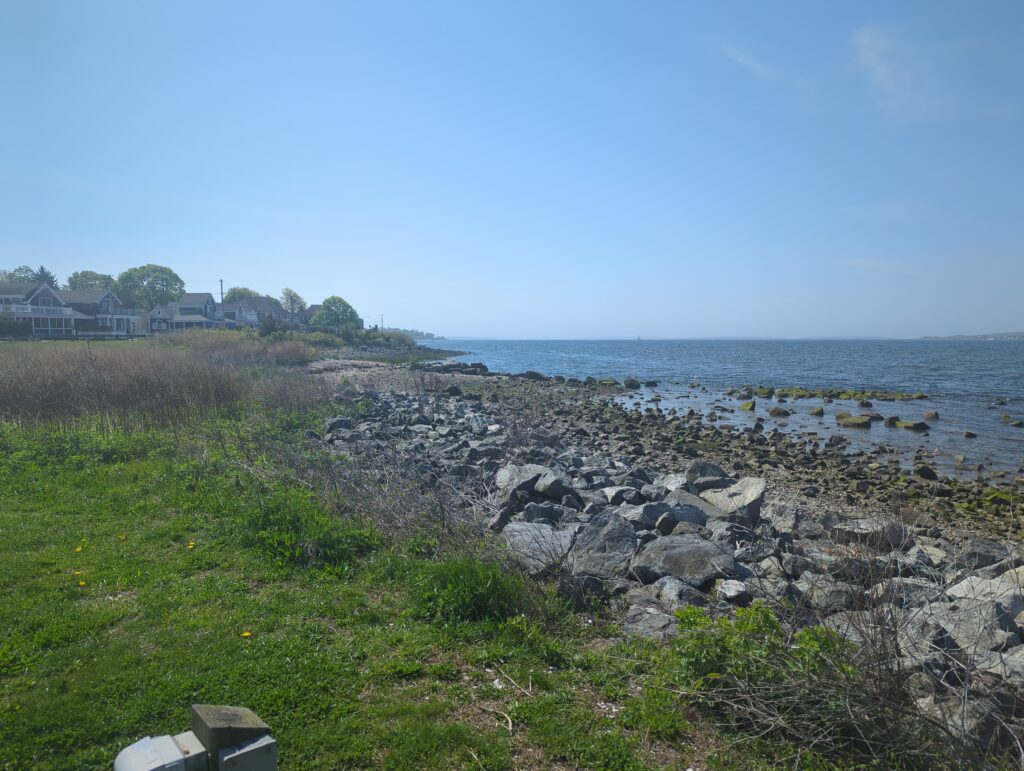 a rocky beach with grass and water (MyCoast AI)