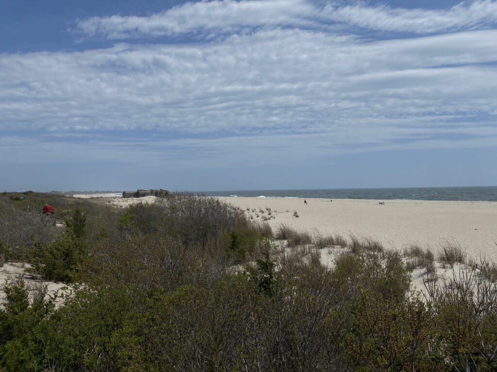 a beach with bushes and trees (MyCoast AI)