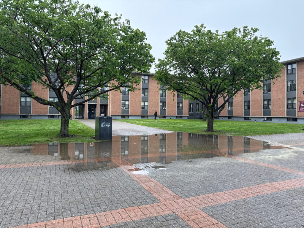 a brick courtyard with trees and a building in the background (MyCoast AI)