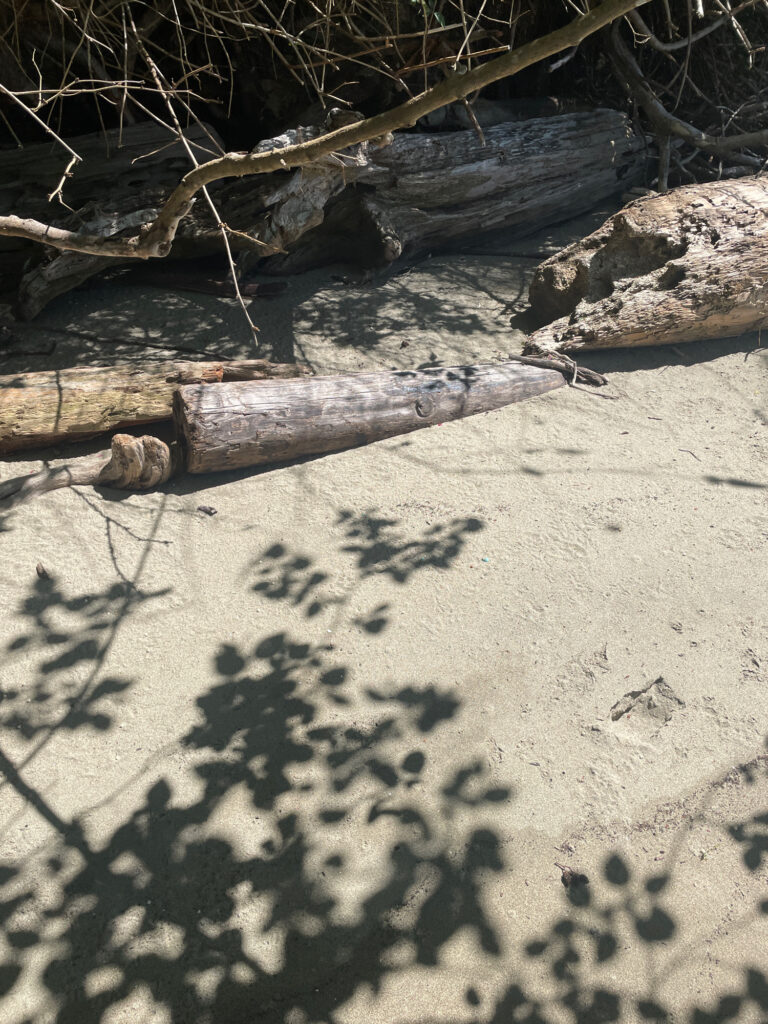 a drawing of a person on sand (MyCoast AI)