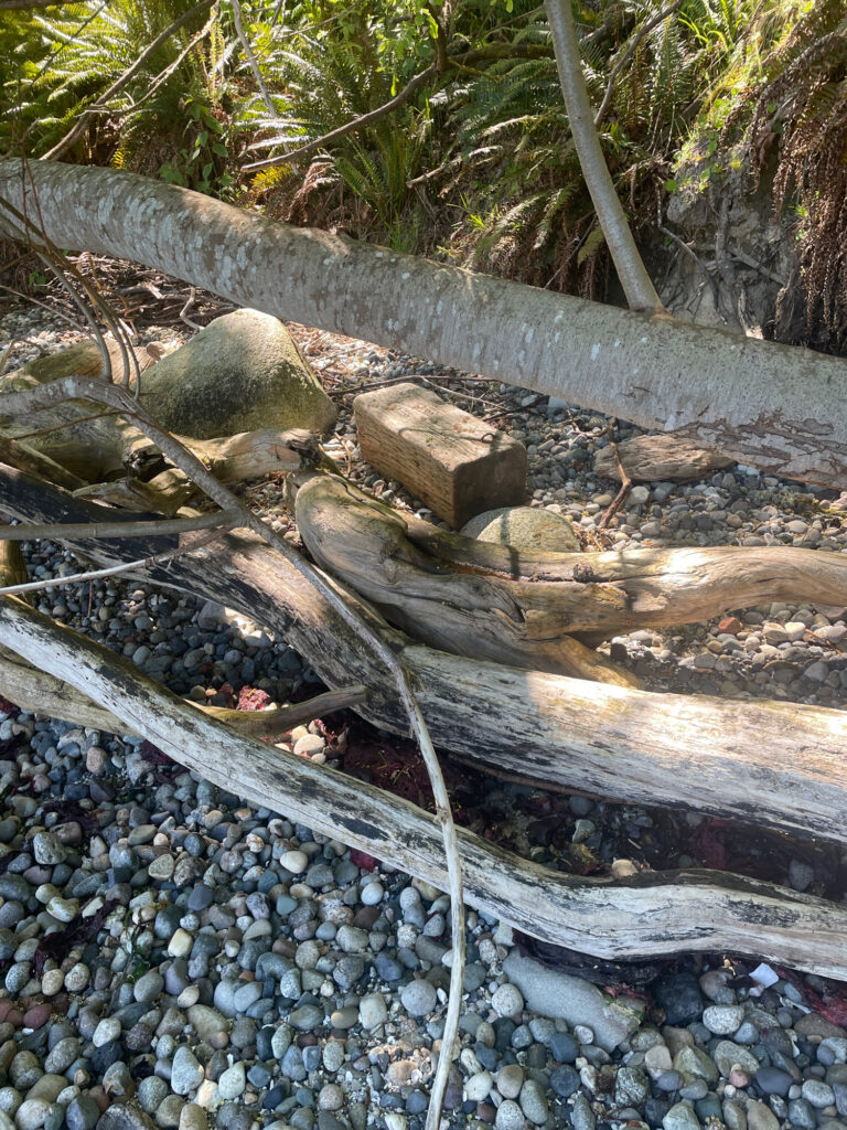 a group of logs and rocks (MyCoast AI)