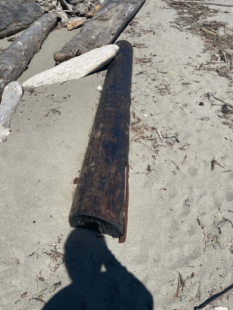 a wood object on the ground (MyCoast AI)