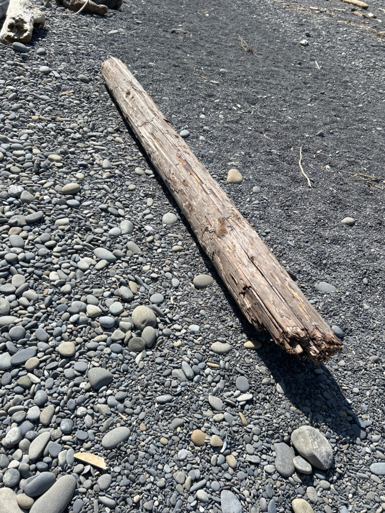 a wooden stick on the ground (MyCoast AI)