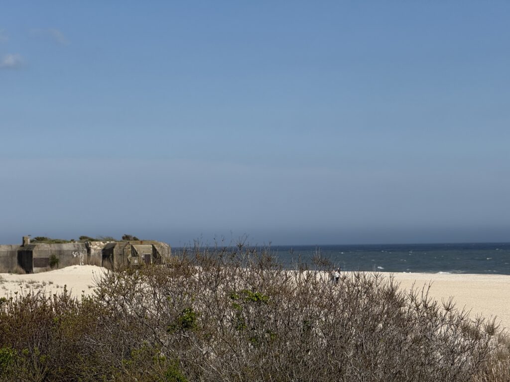a beach with bushes and a building (MyCoast AI)