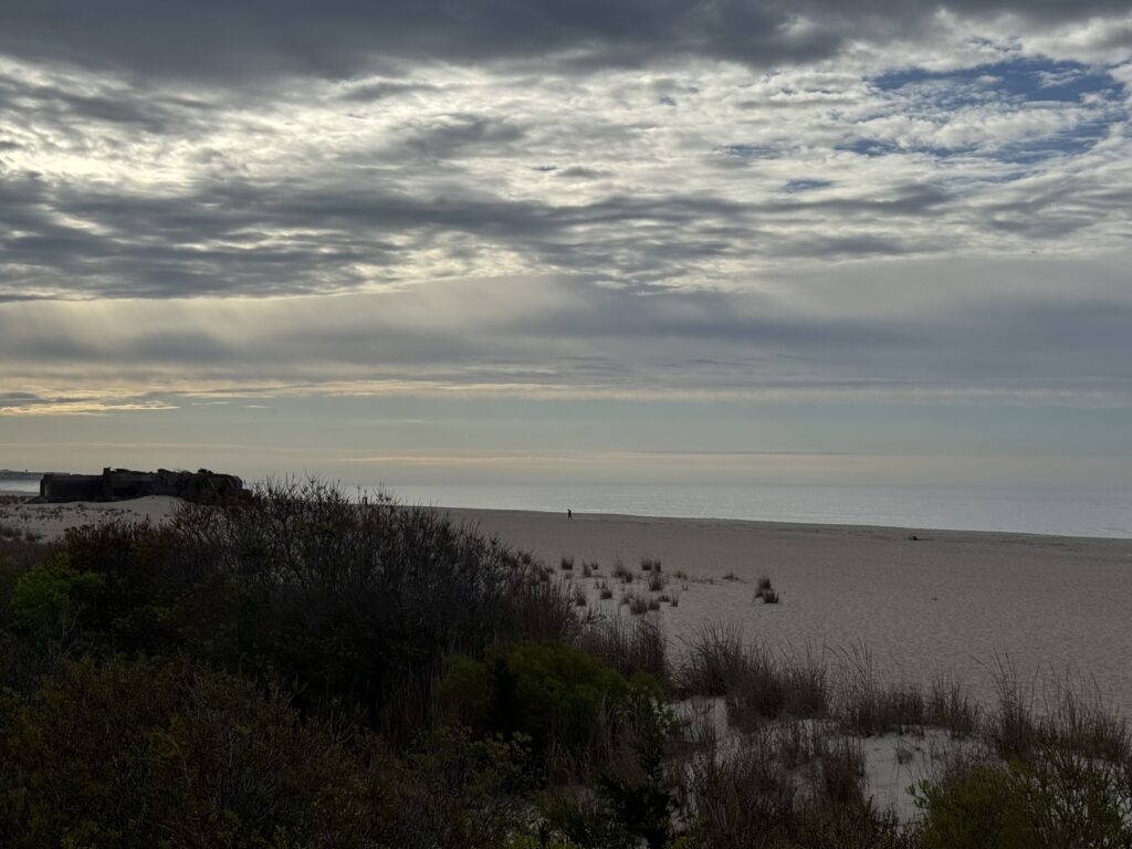 a beach with bushes and trees (MyCoast AI)