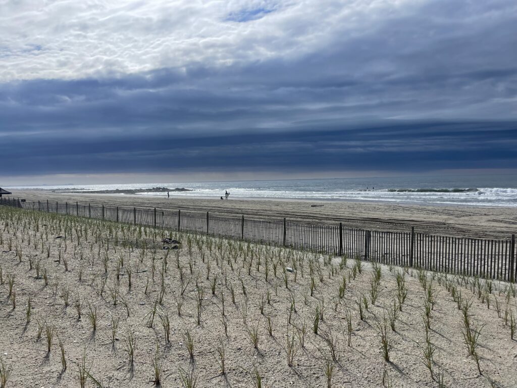a beach with a fence and a body of water in the background (MyCoast AI)