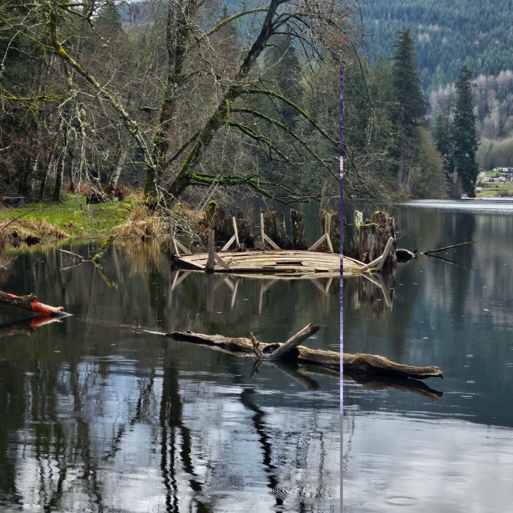 a group of trees in a lake (MyCoast AI)