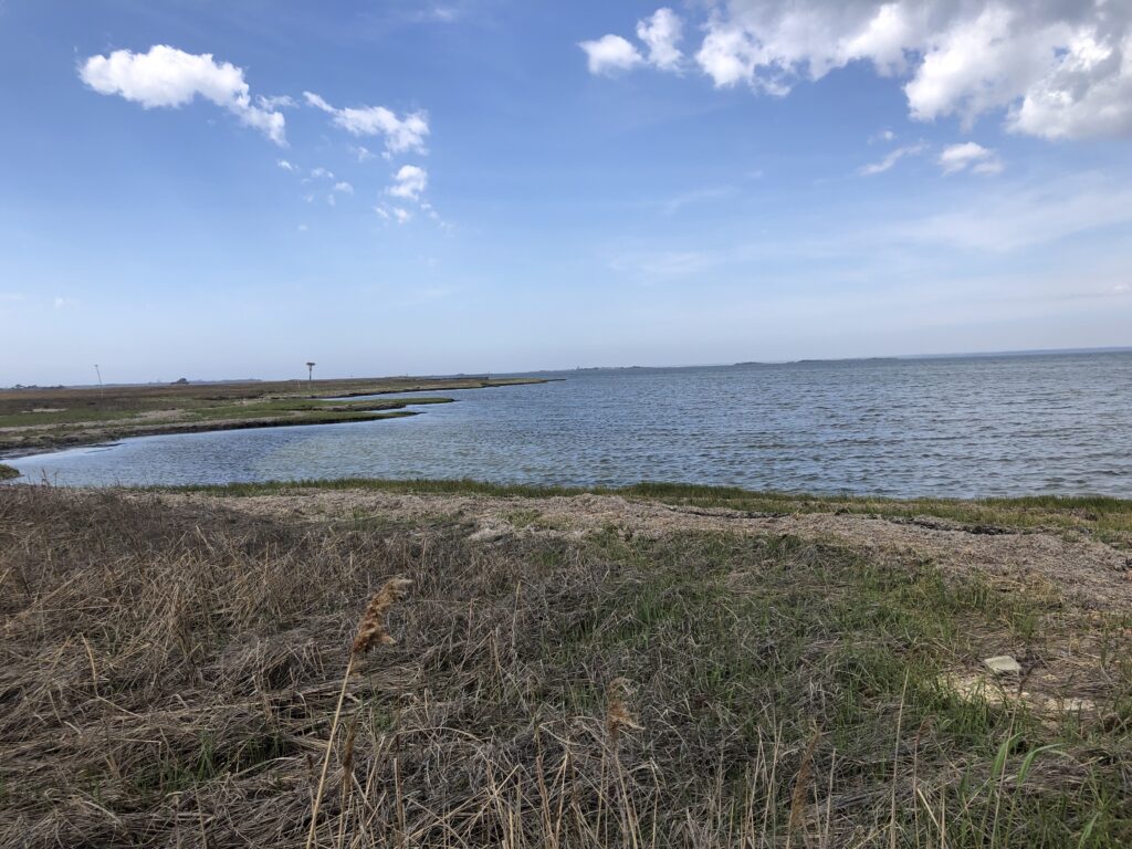 a body of water with grass and sand on the side (MyCoast AI)