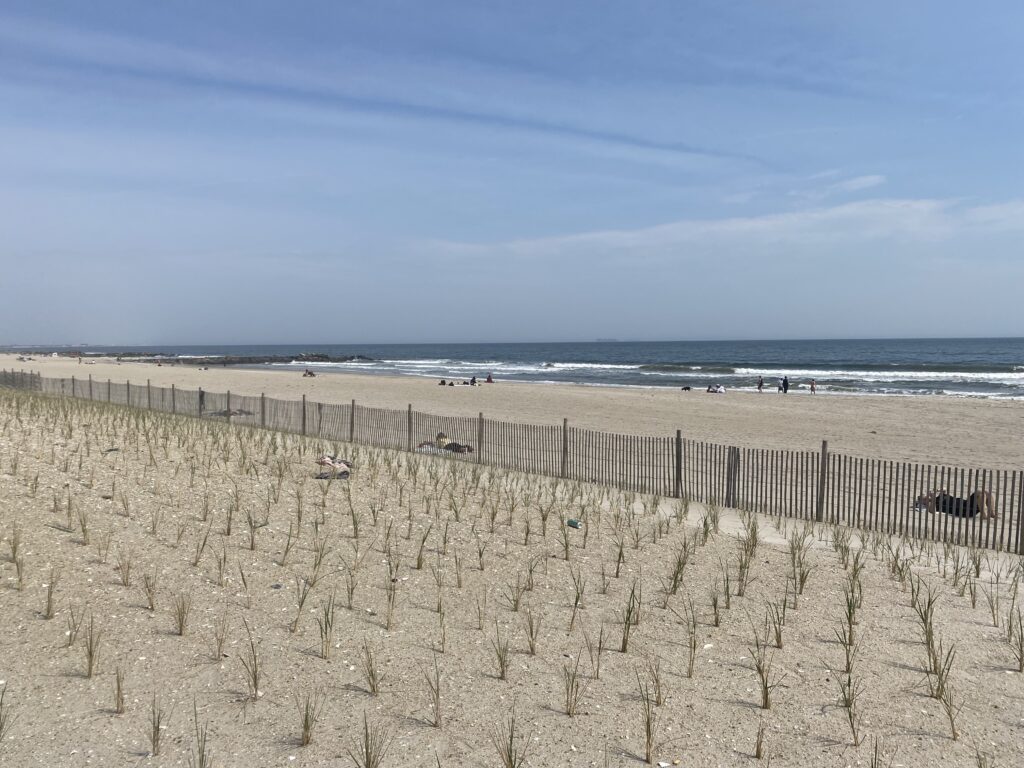 a beach with a fence and a body of water in the background (MyCoast AI)