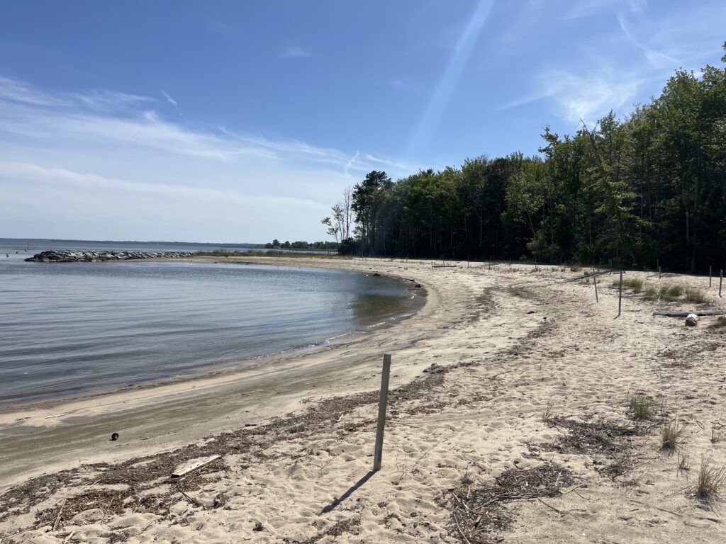 a sandy beach with trees on the side (MyCoast AI)
