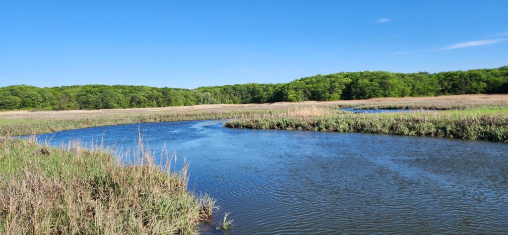 a body of water with grass and trees around it (MyCoast AI)
