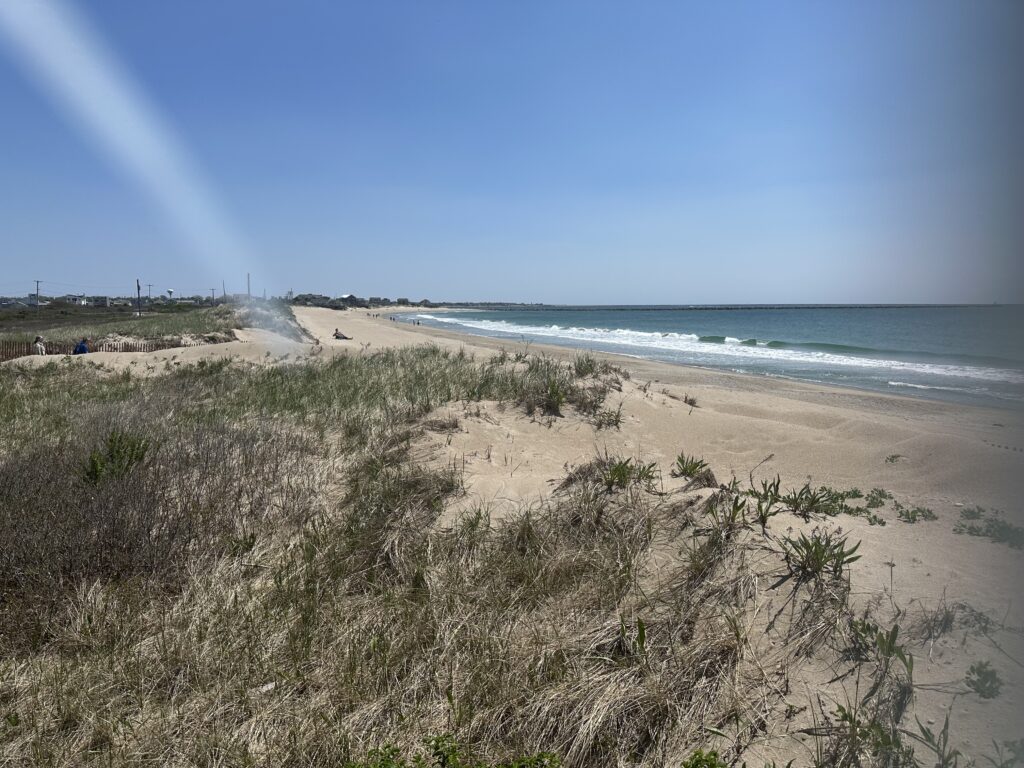 a sandy beach with grass and water (MyCoast AI)