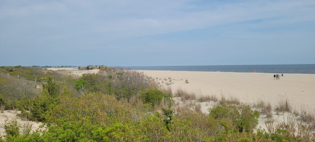 a sandy beach with bushes and trees (MyCoast AI)