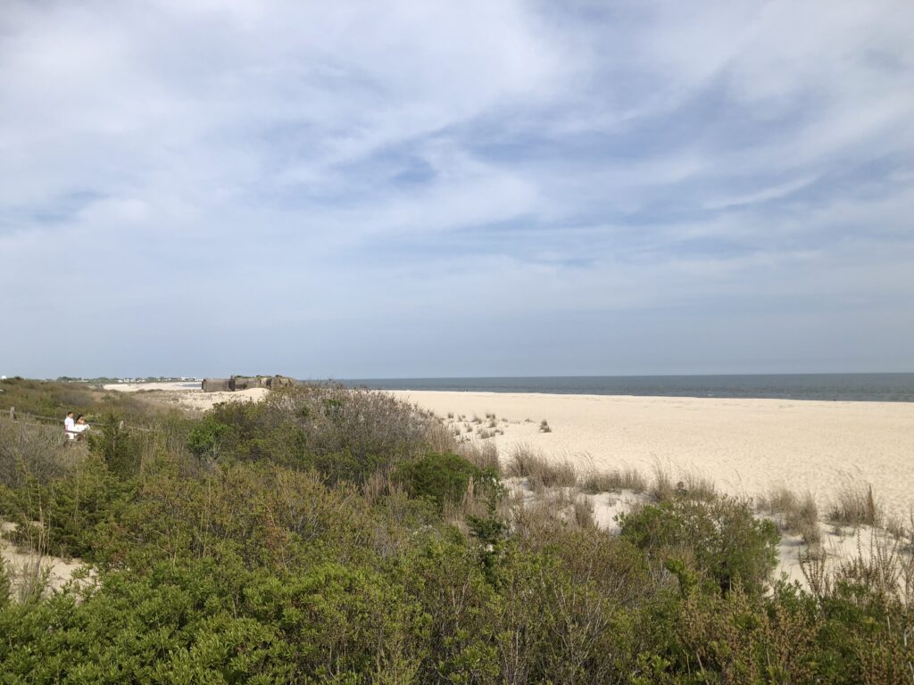 a sandy beach with bushes and trees (MyCoast AI)