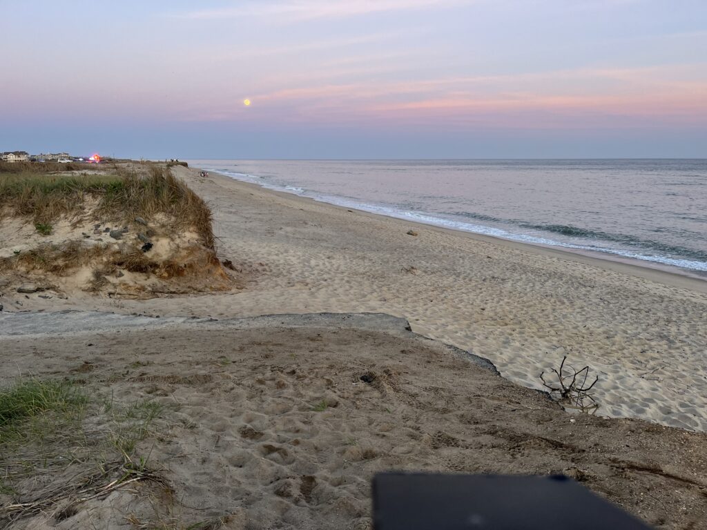 a sandy beach with a body of water in the background (MyCoast AI)