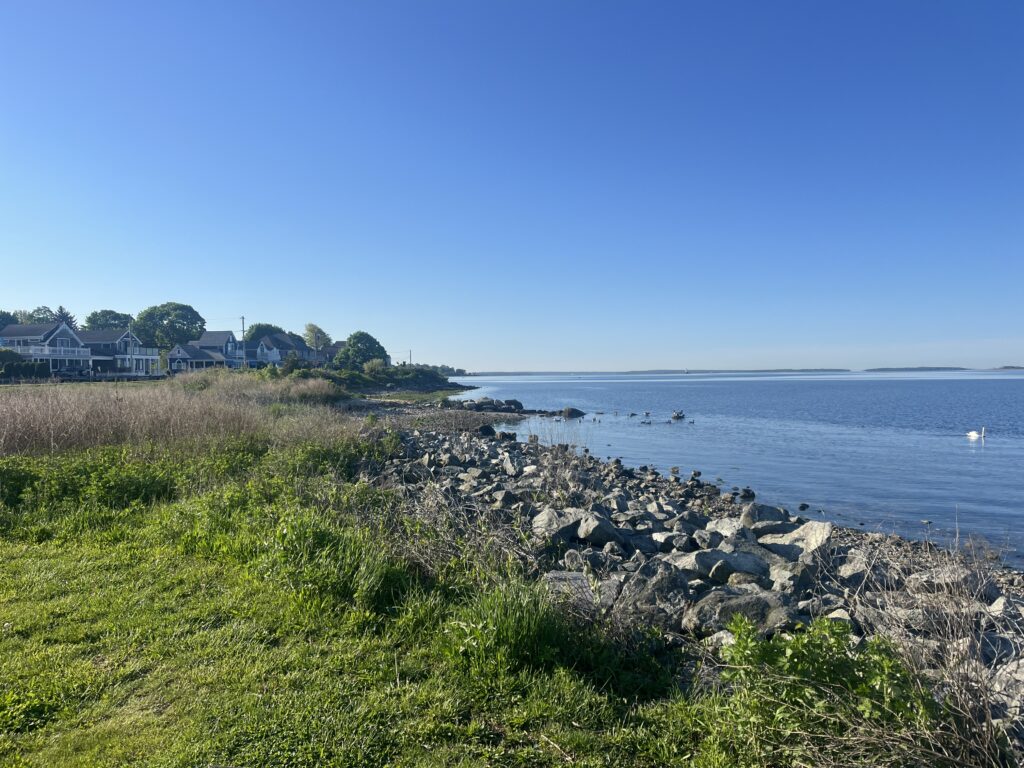 a rocky beach with a body of water in the background (MyCoast AI)