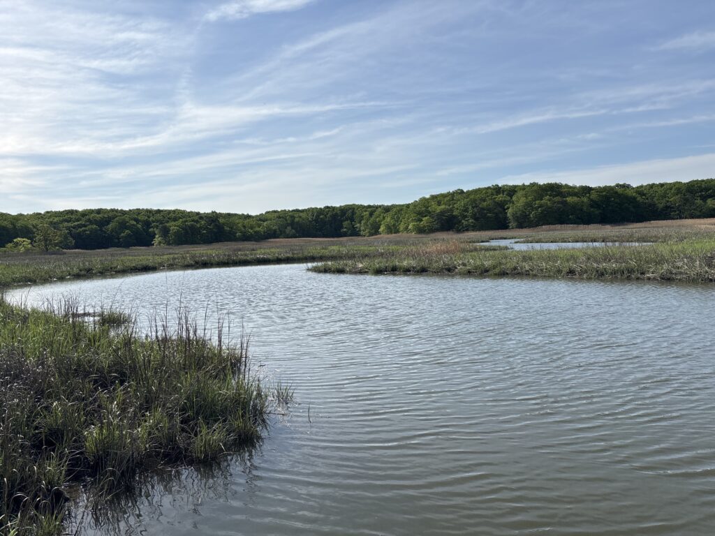 a body of water with land in the back (MyCoast AI)
